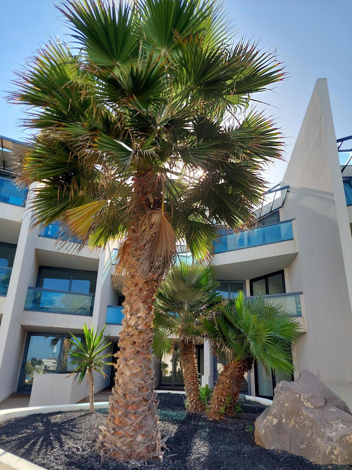Sunset Spot Fuerteventura Seaviews Premium Apartment